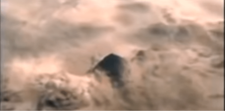 real mount sinai.PNG